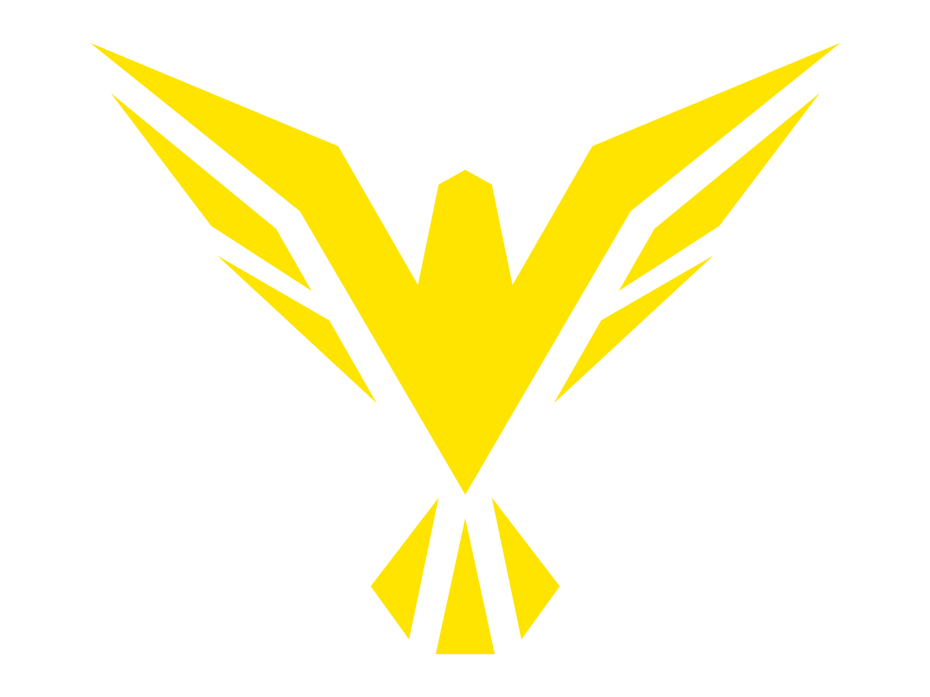Denis Zakalinsky Logo